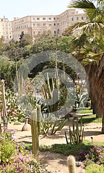 Cagliari Botanical Gardens photo